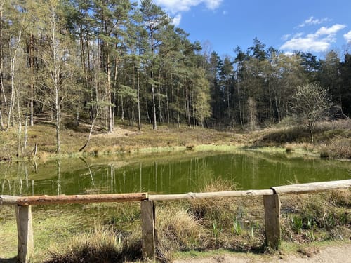 Nordic Walking N1 - Leichte Tour Heide