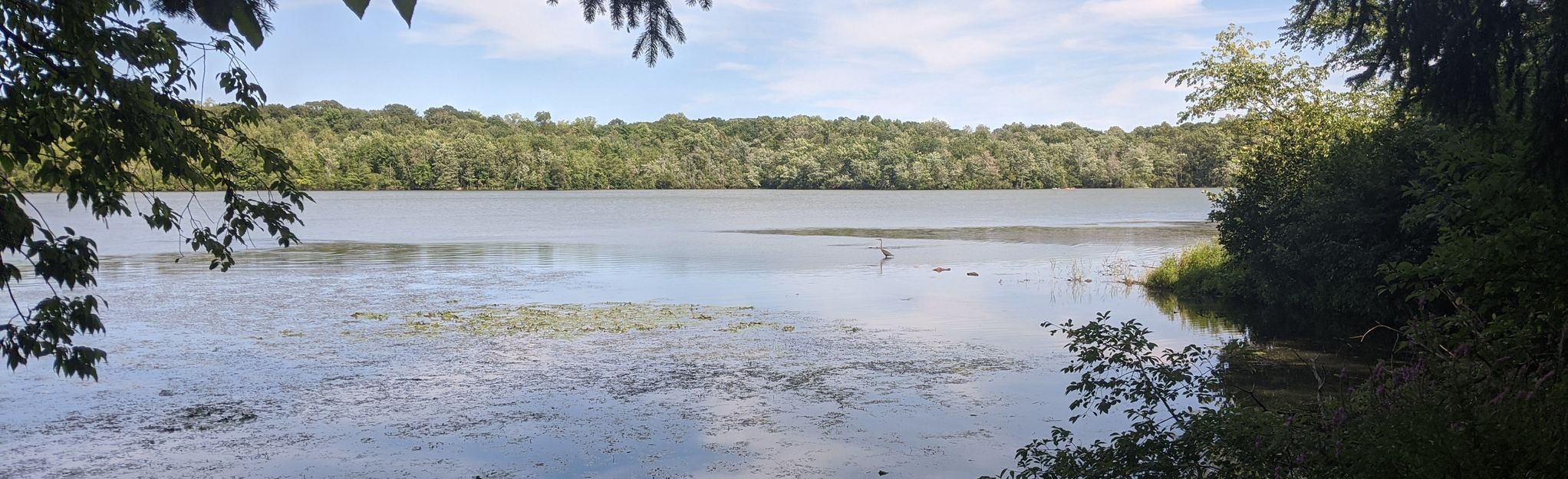 Haledon Reservoir White Trail Loop - New Jersey | AllTrails