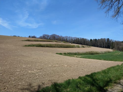 Tandern - Schiltberg