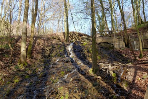 Kirschblütenwanderung zum Walberla