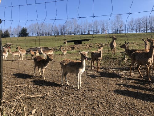 Um die Sächsische Saale bei Rudolphstein