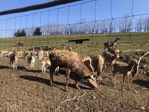 Um die Sächsische Saale bei Rudolphstein