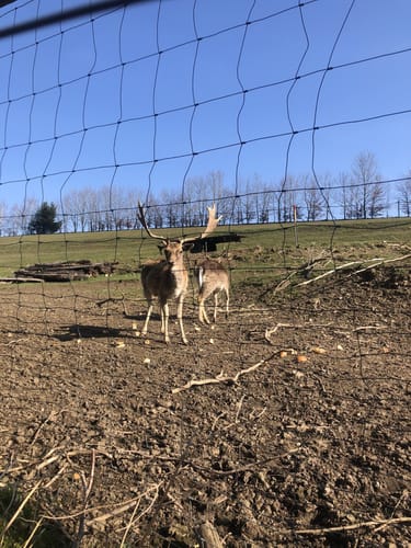 Um die Sächsische Saale bei Rudolphstein
