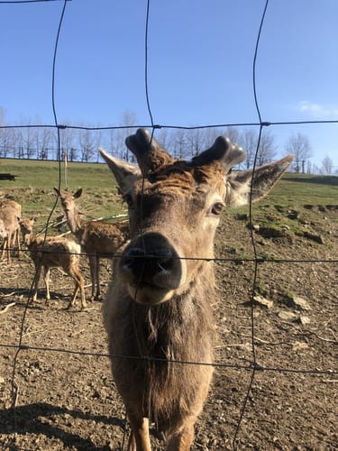 Um die Sächsische Saale bei Rudolphstein