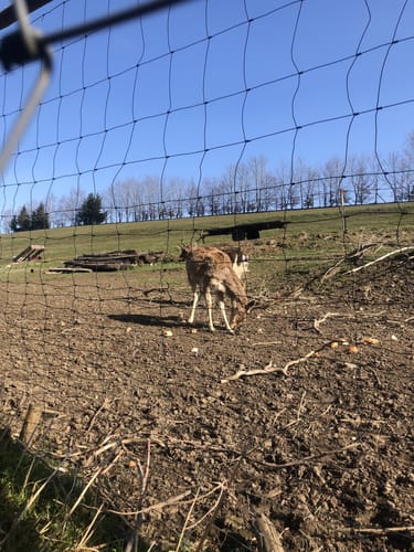 Um die Sächsische Saale bei Rudolphstein