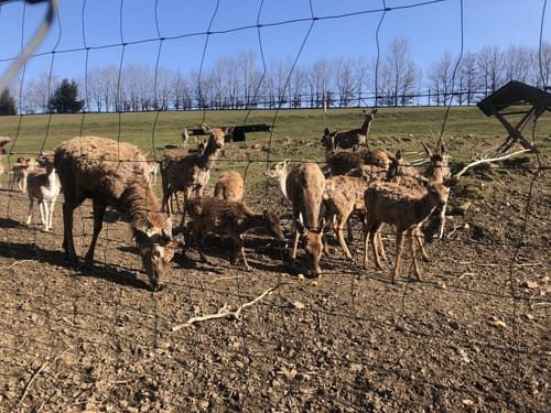 Um die Sächsische Saale bei Rudolphstein