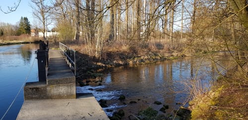 An der Donau von Lauingen nach Offingen