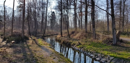 An der Donau von Lauingen nach Offingen