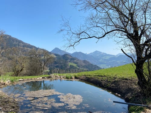 Weg Nr. 4 -Von Oberaudorf zum Berggasthof Hocheck