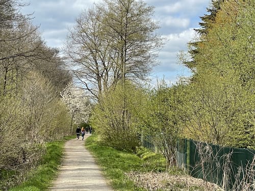 Kleiner Rundweg im Deister ab Egestorf