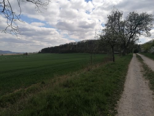 Dünsen - Külf