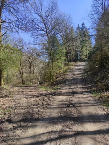 Heilhausen: Wanderweg 87