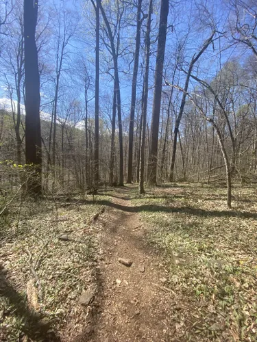 Dogs - Catoctin Mountain Park - GoodDogTrips