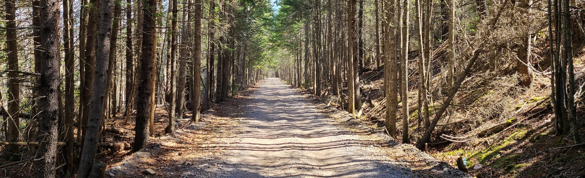 NB Trail Utopia Upper Letang - EyJidWNrZXQiOiJhc3NldHMuYWxsdHJhaWxzLmNvbSIsImtleSI6InVwbG9hZHMvcGhvdG8vaW1hZ2UvMzU3ODc1MTcvMTZhMjY0Y2Q1ZDZkNTczM2EzNjg4NmZmNGY5YjQxMWQuanBnIiwiZWRpdHMiOnsidG9Gb3JtYXQiOiJqcGVnIiwicmVzaXplIjp7IndpZHRoIjoyMDQ0LCJoZWlnaHQiOjYyNCwiZml0IjoiY292ZXIifSwicm90YXRlIjpudWxsLCJqcGVnIjp7InRyZWxsaXNRdWFudGlzYXRpb24iOnRydWUsIm92ZXJzaG9vdERlcmluZ2luZyI6dHJ1ZSwib3B0aW1pc2VTY2FucyI6dHJ1ZSwicXVhbnRpc2F0aW9uVGFibGUiOjN9fX0=