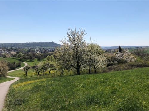 Untere Ölmühle - Gronau - Hochberg