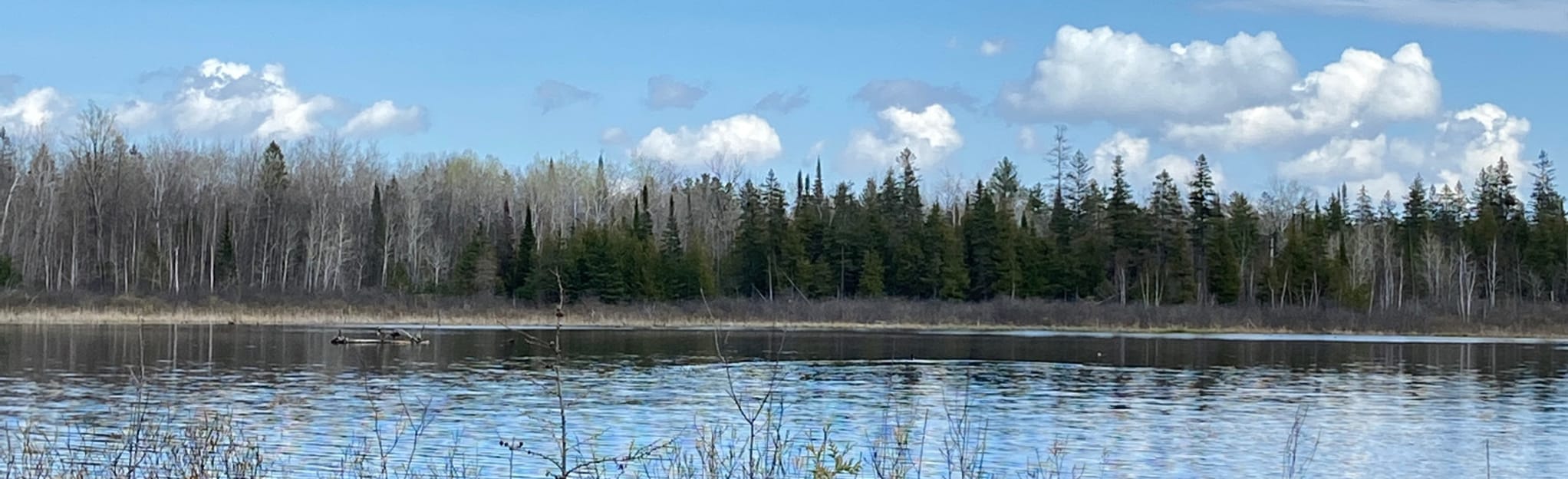 Cedar Grove Walking Trail Loop 294 Reviews, Map Ontario, Canada