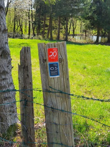 Bergischer Streifzug #20 Böllweg