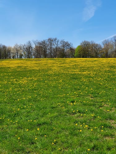 Bergischer Streifzug #20 Böllweg