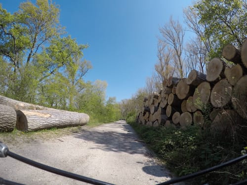 Karlsruhe: Pfalz-Radtour