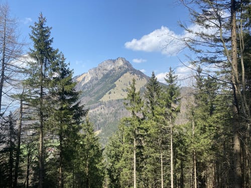 Von Windshausen zum Kranzhorn