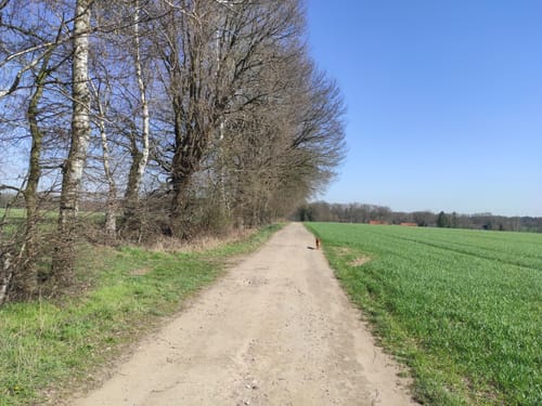 Rund um Schloss Lembeck