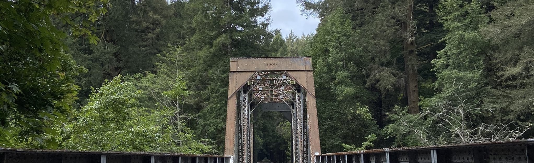 Henry Cowell Redwoods to Garden of Eden, 1 854 Photos California