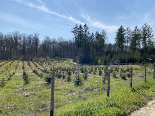 Weilerswist: Eifelspur Zwischen Ville und Eifel