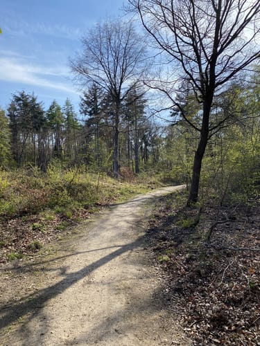Weilerswist: Eifelspur Zwischen Ville und Eifel