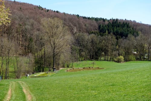 Hegnenberg nach Raschbach