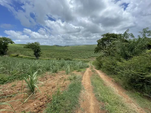 Best River Trails In Parc Naturel R Gional De La Martinique Alltrails