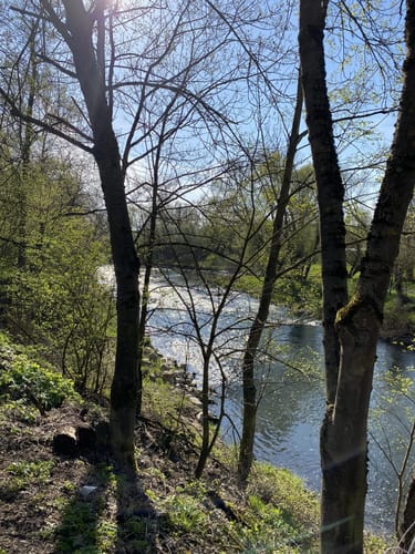 Lollarer Kopf - Badenburg Rundweg