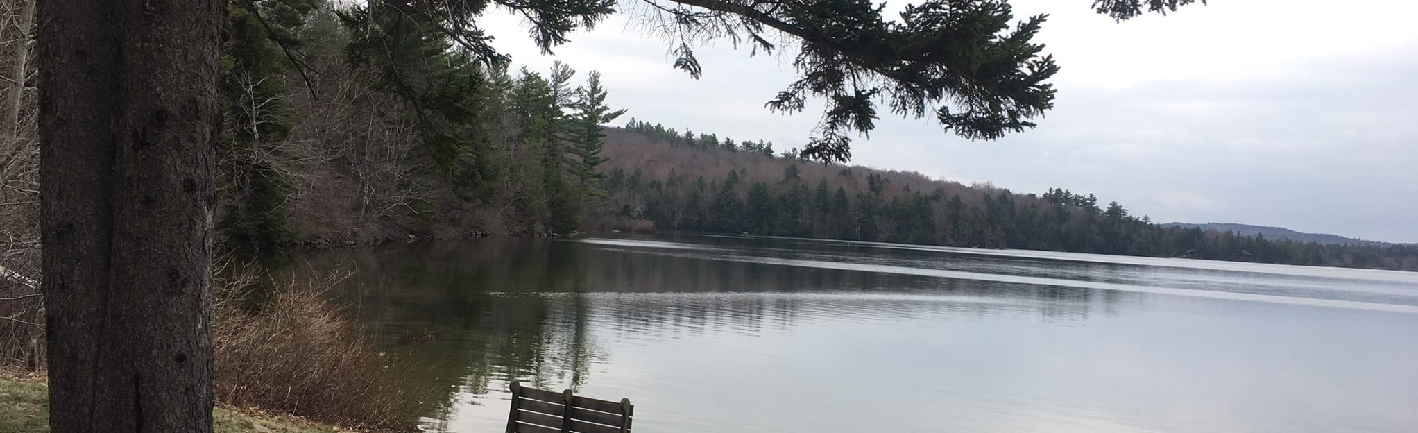 Chapel Cove Trail, New Hampshire 12 Reviews, Map AllTrails