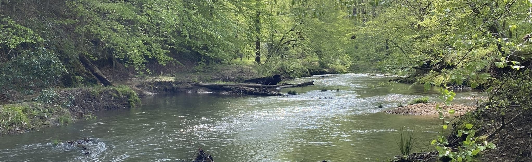 Turkey Run Ridge Trail 739 Reviews, Map Virginia AllTrails