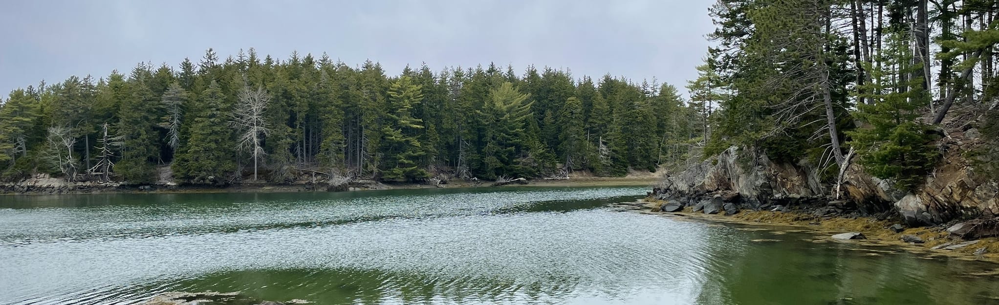 Cross Cushing Nature Preserve Loop, Maine 104 Reviews, Map AllTrails