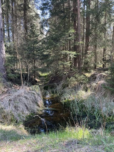 Durchs Mühllohbachtal