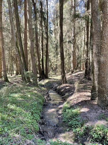 Durchs Mühllohbachtal