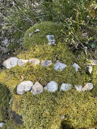 Durchs Mühllohbachtal