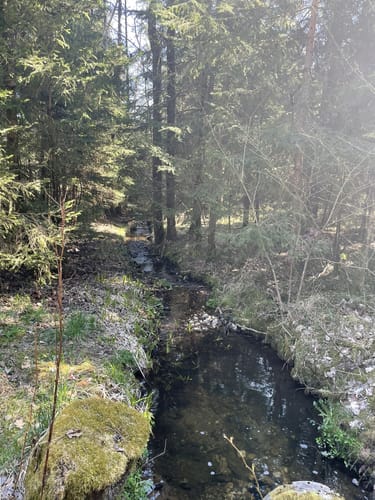 Durchs Mühllohbachtal
