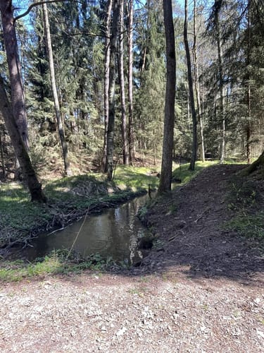 Durchs Mühllohbachtal