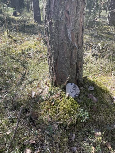 Mühlbüschweg