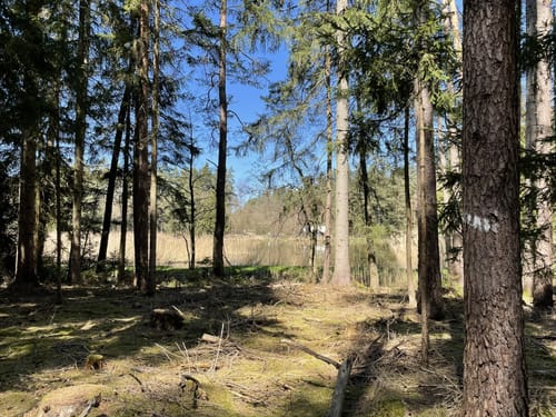 Durchs Mühllohbachtal
