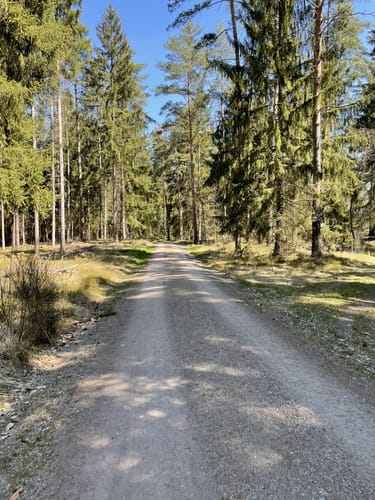 Durchs Mühllohbachtal