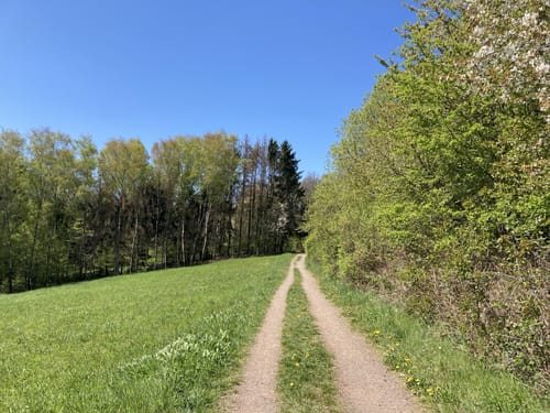 Hootzemonn-Weg
