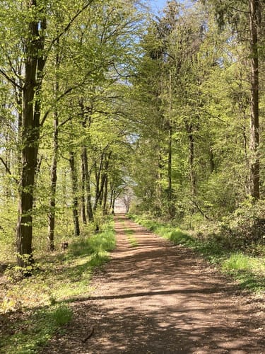 Hootzemonn-Weg