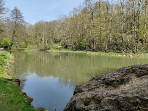 Rund um die Düssel in Gruiten ab Osterholz