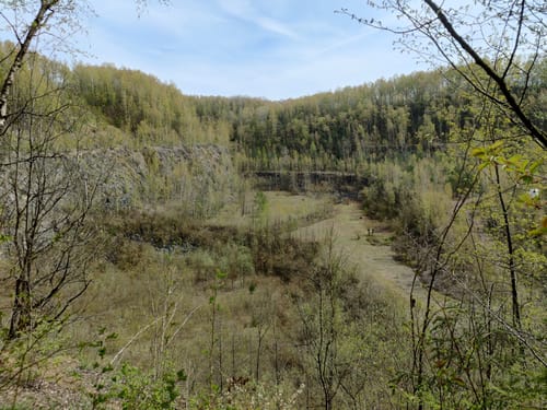 Rund um die Düssel in Gruiten ab Osterholz