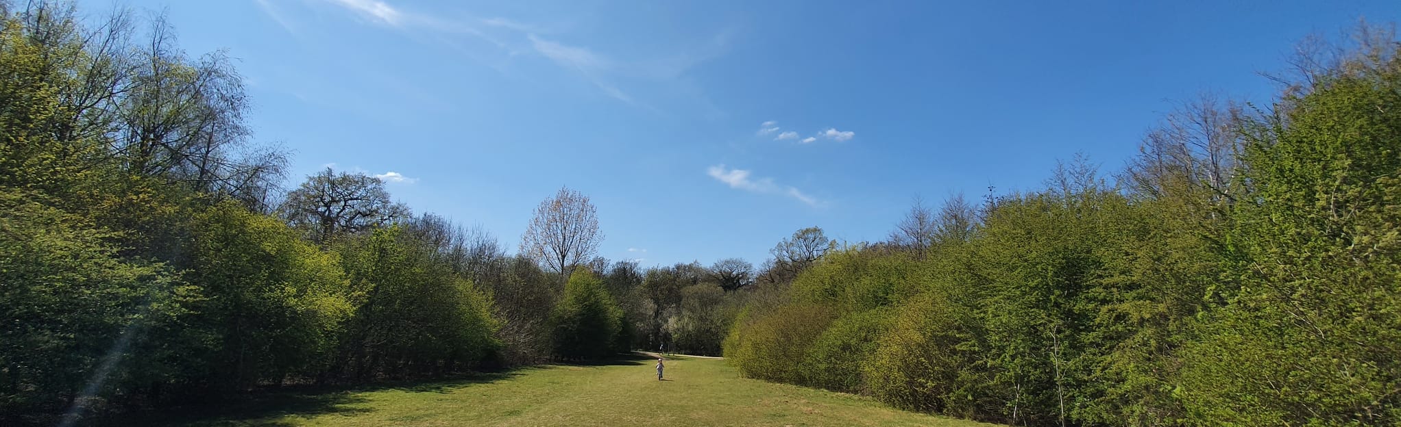 Gibbet Hill Wood and University of Warwick Circular, 11 Fotos West