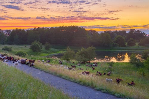MTB Rundweg von Arendsee über Wittenberge entlangs die Elbe
