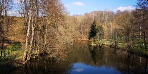 Im Tal der Zschopau von Thermalbad Wiesenbad nach Hennersdorf