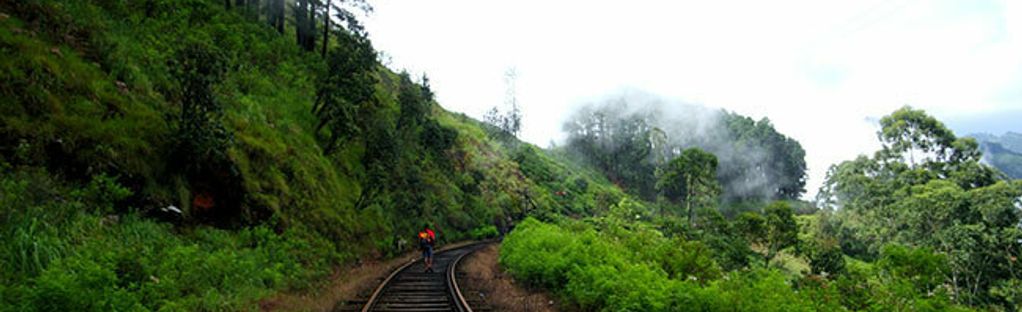 Sendero Ferrocarril Xalapa: 1 fotos - Veracruz, Mexico | AllTrails